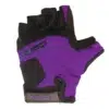 Purple / Black